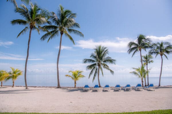 Florida Keys Luxury Rentals