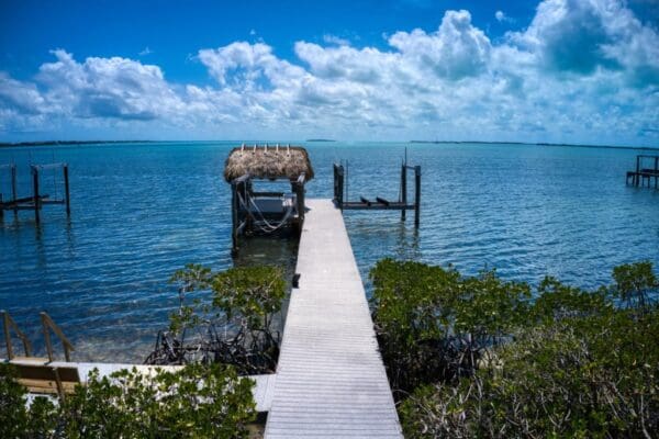 Lime Key - Image 10