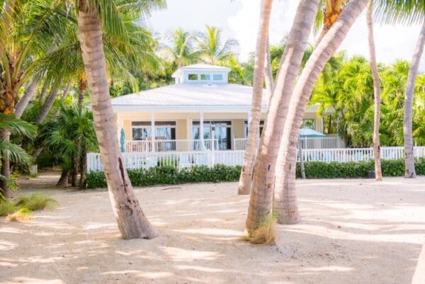 Island Palm Estate Shore Breeze