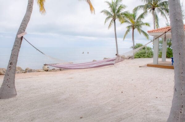 Serenity - Image 6